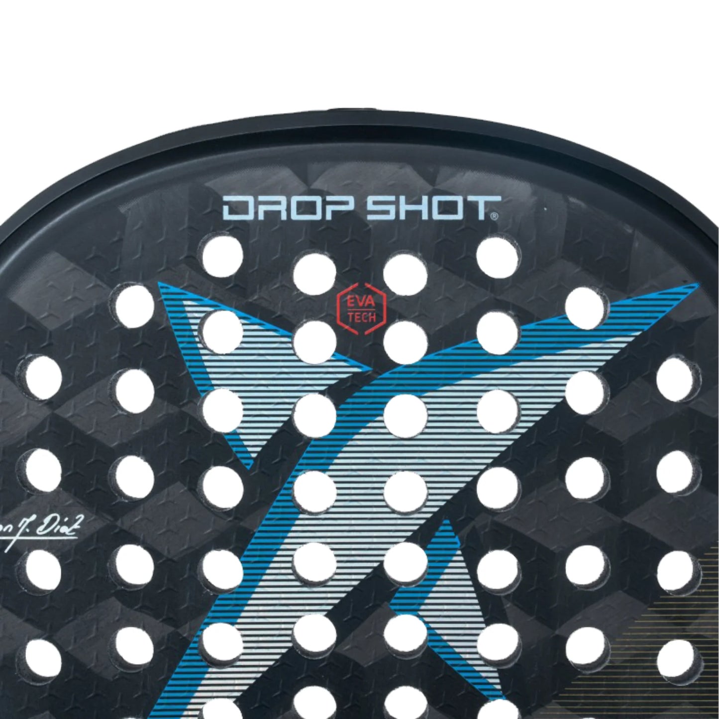 Pala de Padel Dropshot Conqueror 10